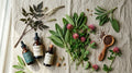 Traitement naturel de la ménopause : comparatif THS, plantes et compléments