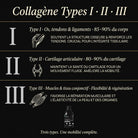 ArtiMotion Collagen 12000 collagène types I II III · formule liquide complète │ Nutremys LAB