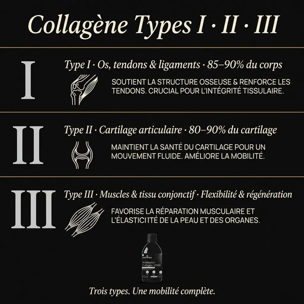 ArtiMotion Collagen 12000 collagène types I II III · formule liquide complète │ Nutremys LAB